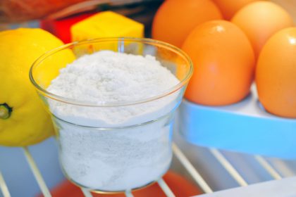 Désodorisant naturel pour frigo Désodorisant naturel pour frigo