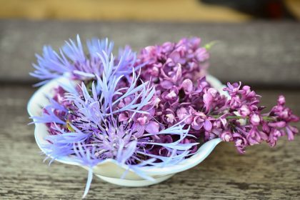 6 astuces naturelles contre les odeurs 6 astuces naturelles contre les odeurs